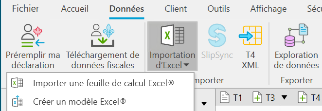 Menu Données de TaxCycle, avec l'option Importer une feuille de calcul Excel